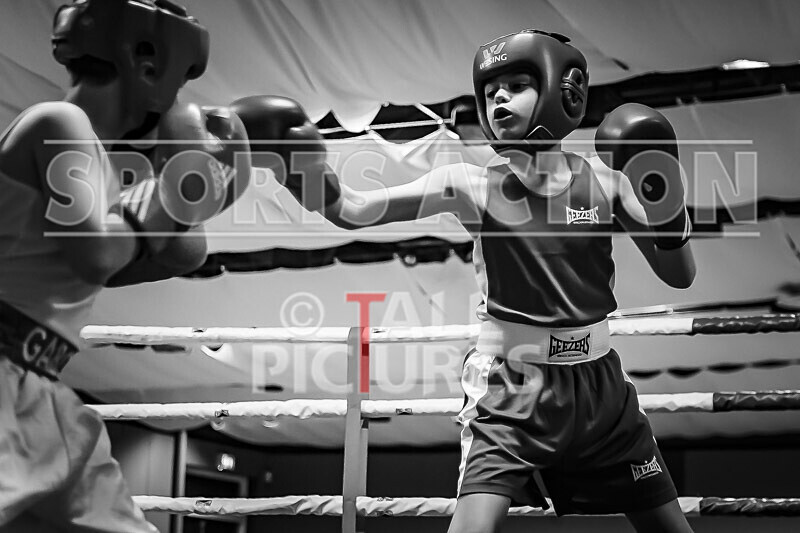 BOUT 1 - Liam Duff v Oliver McKenzie-2 - BOUT 1 - Liam Duff v Oliver McKenzie