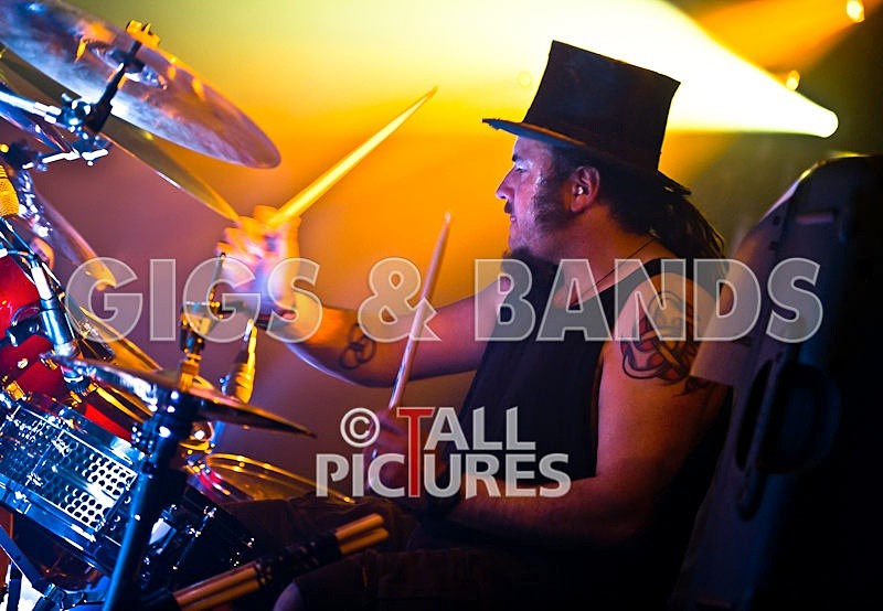 Peppered Ant Legs-64 - PEPPERED ANT LEGS