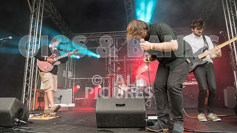 Joe Young  the Bandits-41 - JOE YOUNG & THE BANDITS