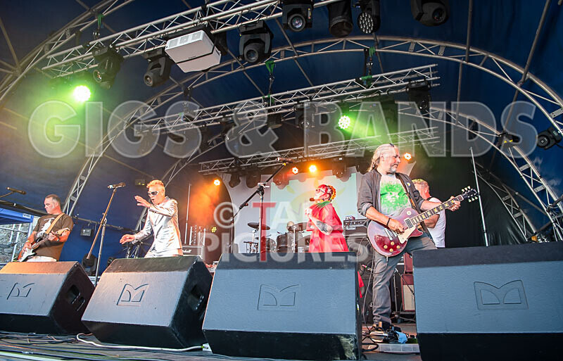 The Sacred Hearts-82 - THE SACRED HEARTS