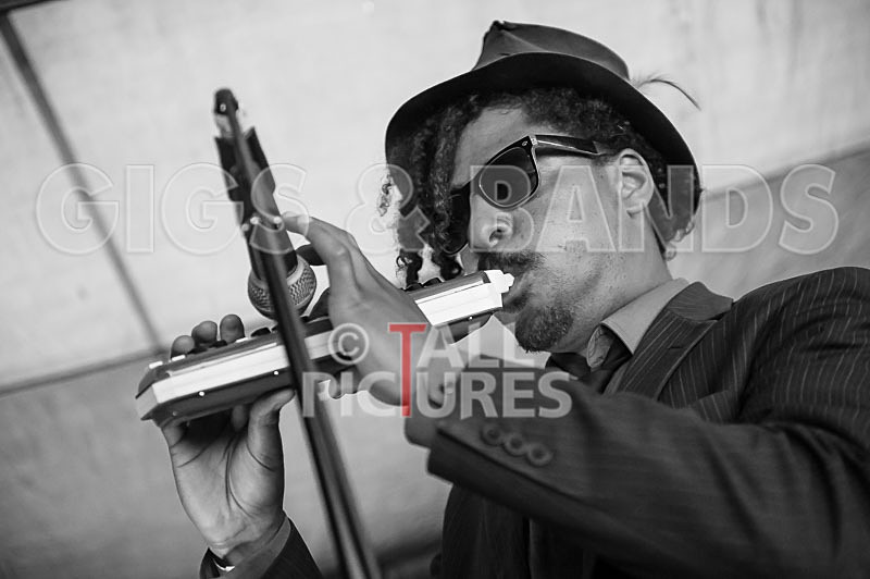 The Recks-286 - THE RECKS