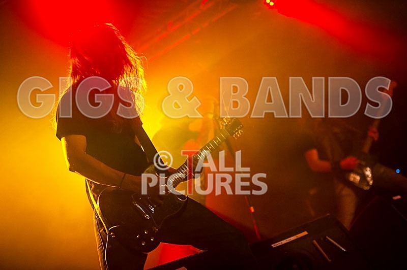 Viking Skull-42 - VIKING SKULL