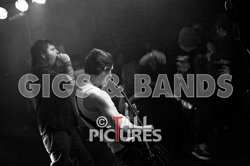 Brutus Stonefist-109 - BRUTUS STONEFIST at RoA-5