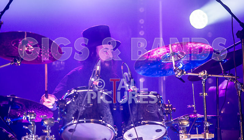 Peppered Ant Legs-162 - PEPPERED ANT LEGS