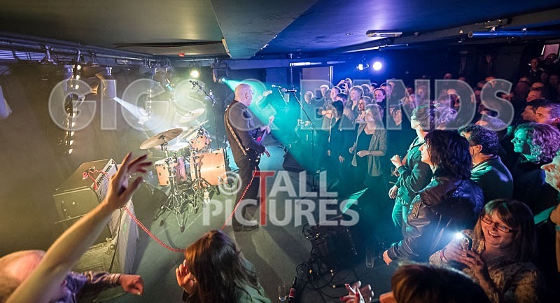 Wilko Johnson Farewell Tour-80 - THE WILKO JOHNSON BAND
