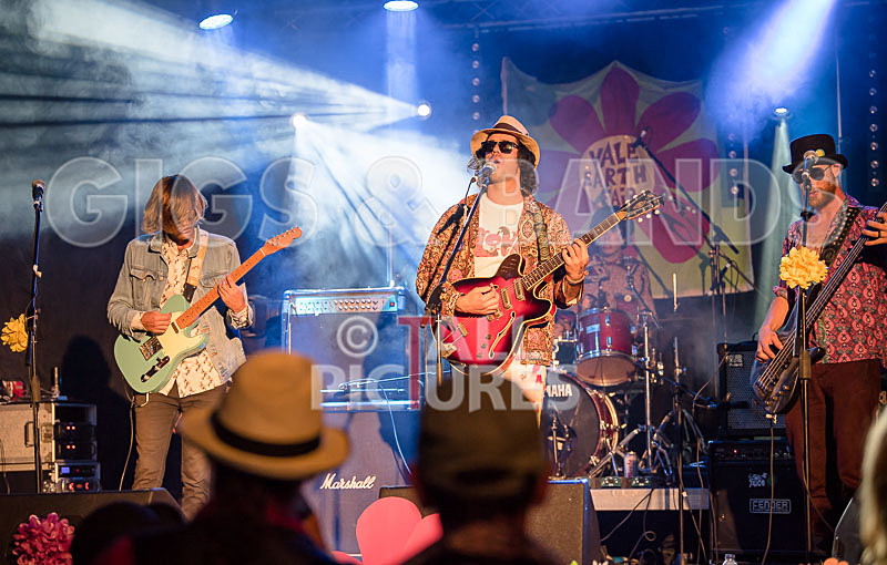 Surfin Birds-6 - SURFIN' BIRDS