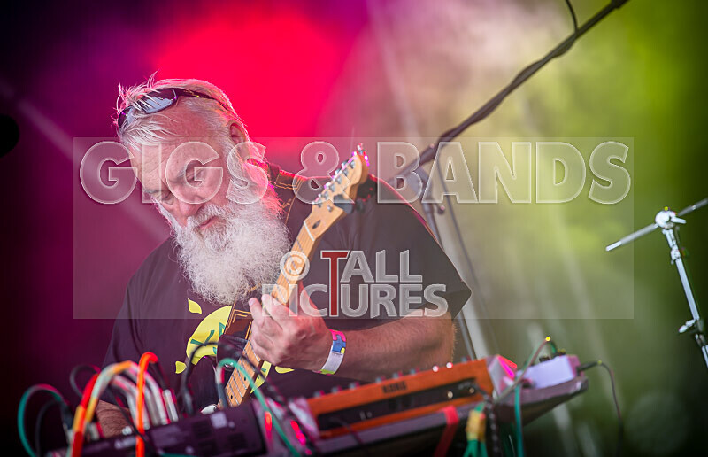 Its Own Animal-45 - ITS OWN ANIMAL