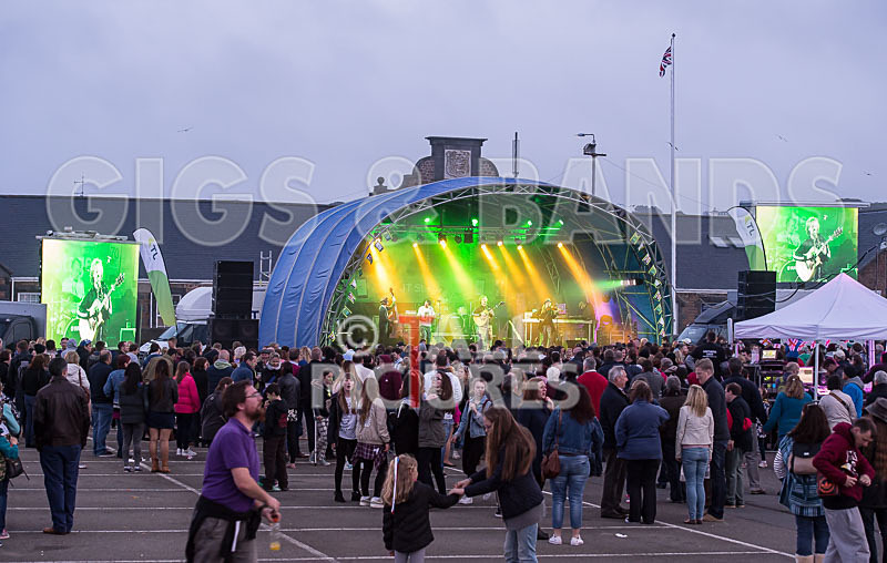 Buffalo Huddleston-187 - BUFFALO HUDDLESTON