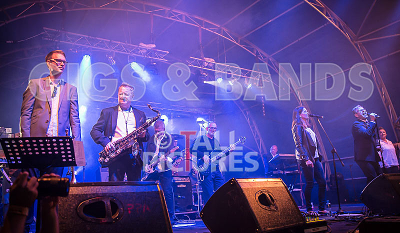 King Rat and the Soul Cats-270 - KING RAT AND THE SOUL CATS