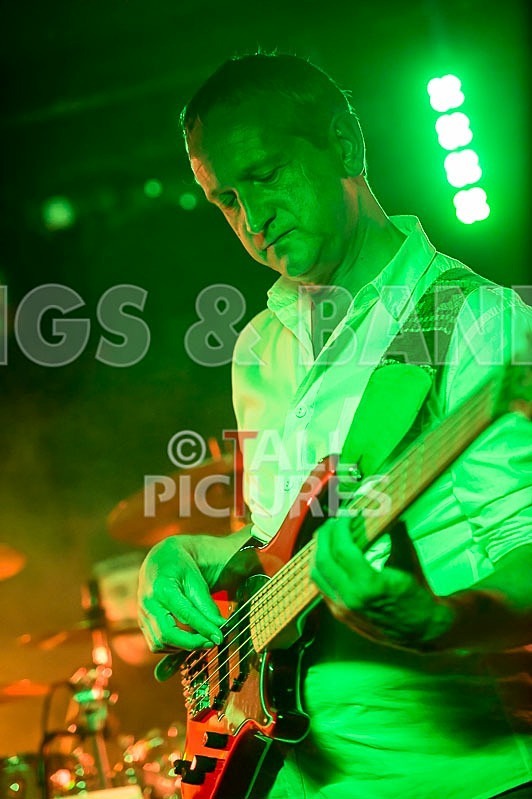 Elysium-278 - ELYSIUM