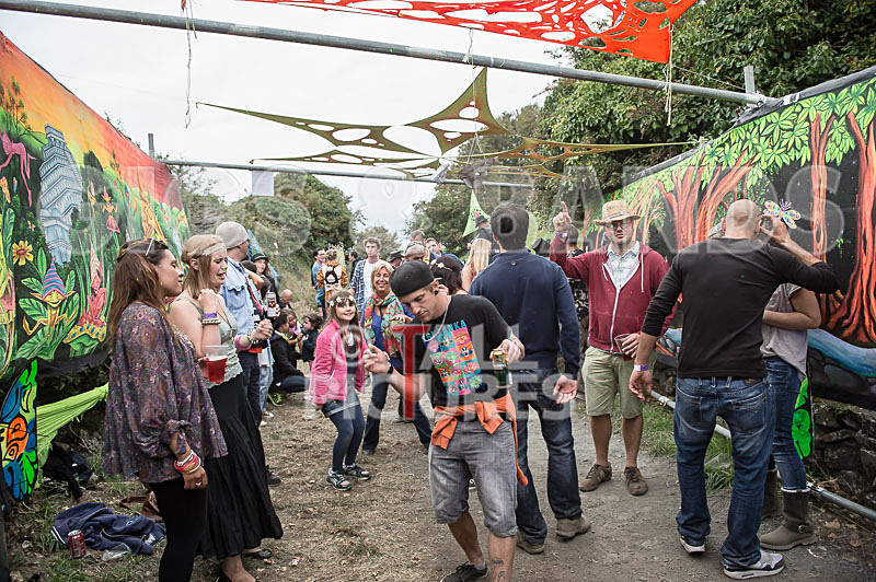 Vale Earth Fair_Atmosphere_2014-13 - VALE EARTH FAIR 2014 - THE ATMOSPHERE