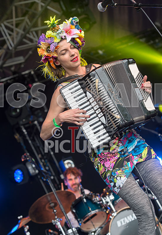 Molotov Jukebox-40 - MOLOTOV JUKEBOX