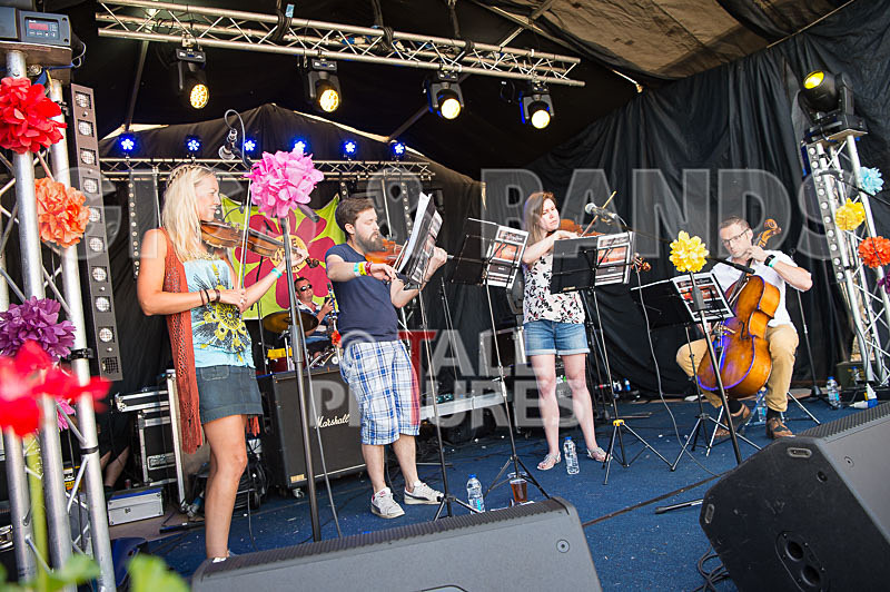 Vale Earth Fair 2017_PRESS EDIT-11 - VALE EARTH FAIR 2017_THE PRESS EDIT