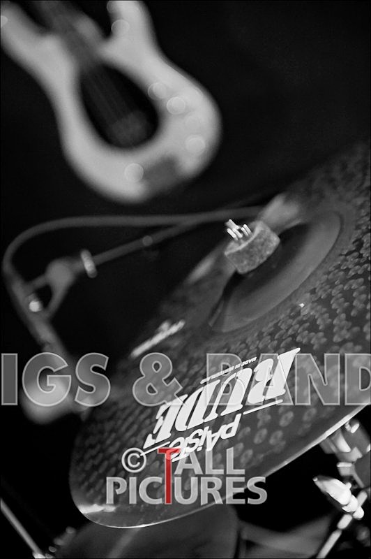 Teaspoonriverneck Studio Session-94_BW - TEASPOONRIVERNECK