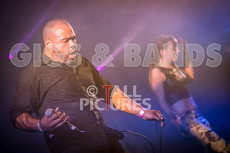 FireFarm-3 - FIREFARM