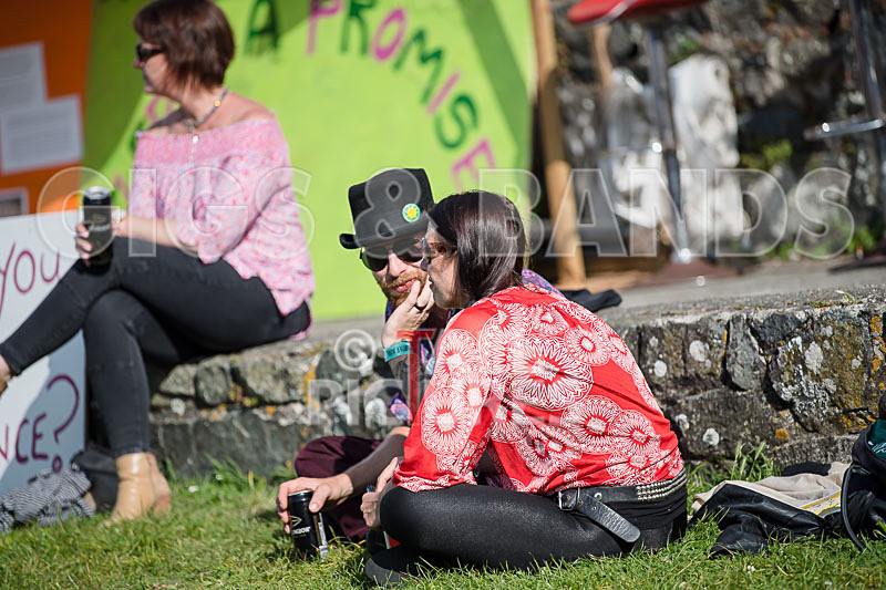 Vale Earth Fair 2017_SCENE-86 - VALE EARTH FAIR 2017_THE SCENE