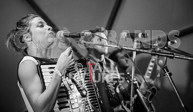 Molotov Jukebox-22 - MOLOTOV JUKEBOX