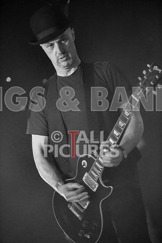 Peppered Ant Legs-195 - PEPPERED ANT LEGS