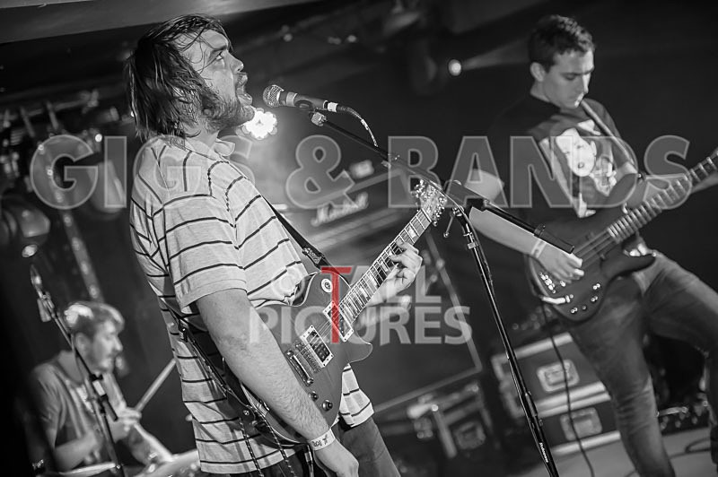 To the Woods-174 - TO THE WOODS