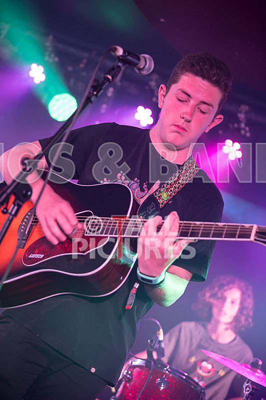 Purple Paradox-17 - PURPLE PARADOX