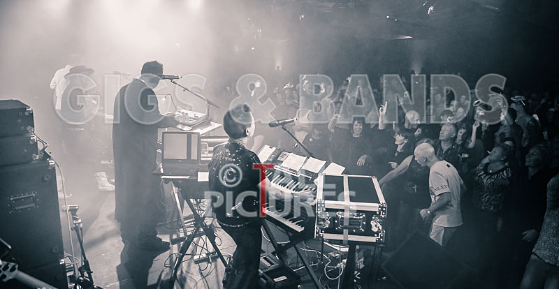 Fade2Grey-384 - FADE2GREY