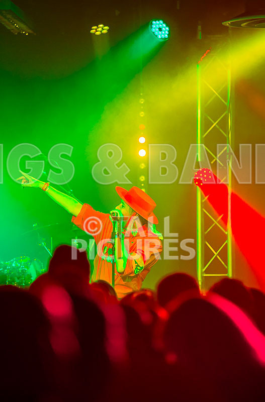 Fade2Grey-361 - FADE2GREY