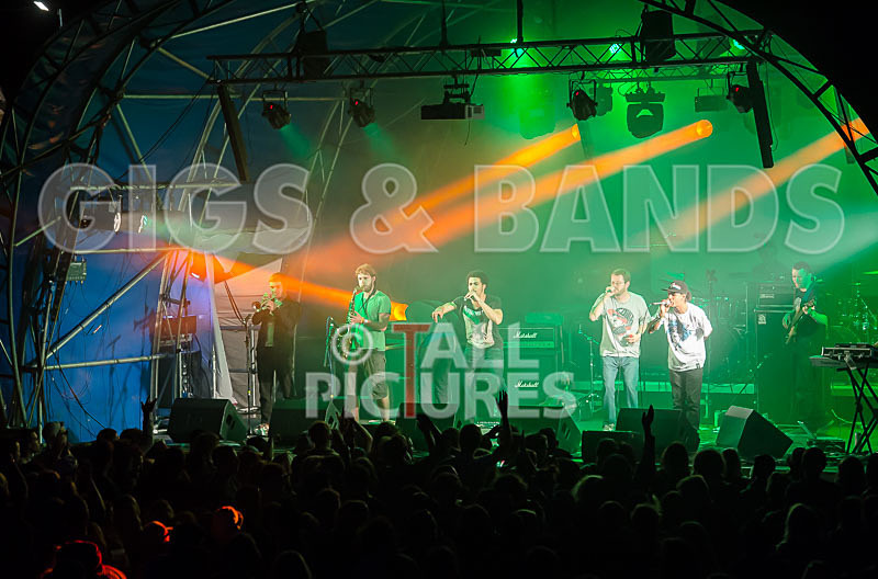 The Mouse Outfit-11 - THE MOUSE OUTFIT