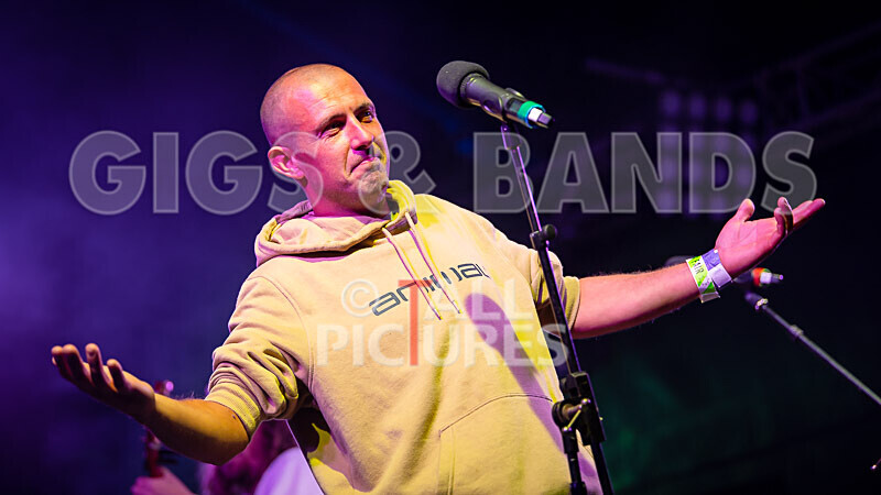 Buffalo Huddleston-659 - BUFFALO HUDDLESTON