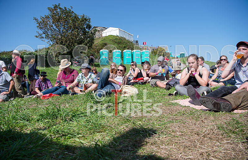 Vale Earth Fair 2017_SCENE-55 - VALE EARTH FAIR 2017_THE SCENE