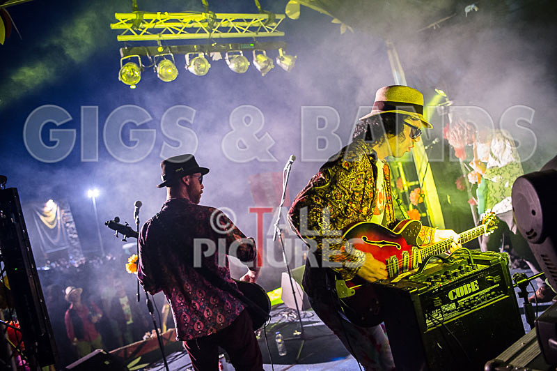 Surfin Birds-28 - SURFIN' BIRDS