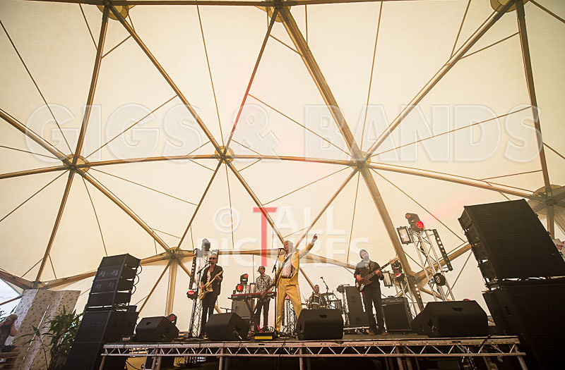 Absolute Bowie-60 - ABSOLUTE BOWIE