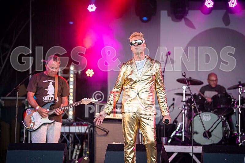 The Sacred Hearts-131 - THE SACRED HEARTS