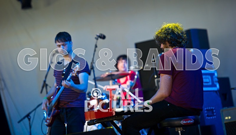 Teaspoonriverneck-232 - TEASPOONRIVERNECK