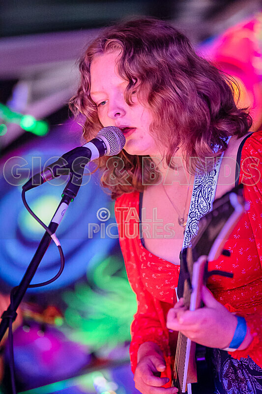 Kiya Ashton and the Folkadelics-3 - KIYA ASHTON AND THE FOLKADELICS