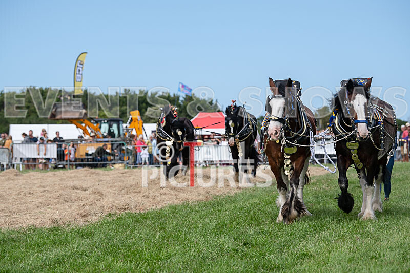 Guernsey Agricultural Show 2021-167 - GUERNSEY AGRICULTURAL SHOW 2021
