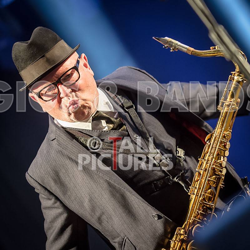 Madness-61 - MADNESS