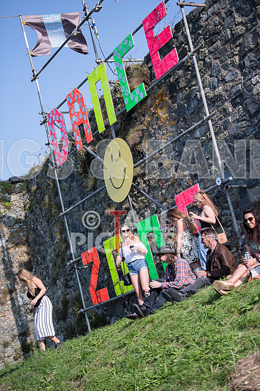 Vale Earth Fair 2017_SCENE-5 - VALE EARTH FAIR 2017_THE SCENE