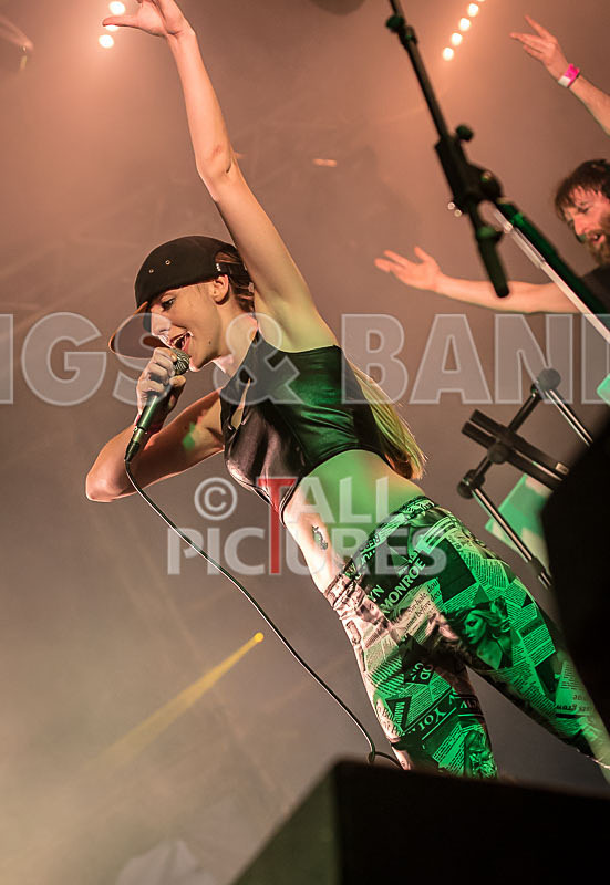 FireFarm-20 - FIREFARM