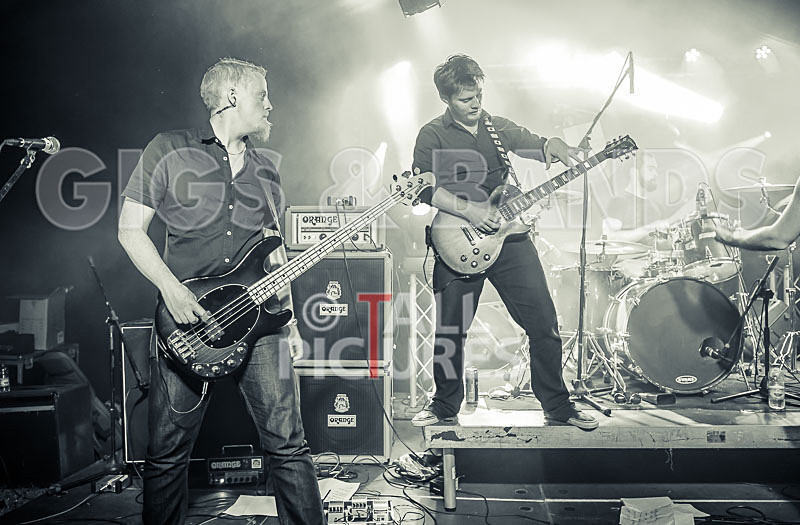 FlashMob-190 - FLASHMOB