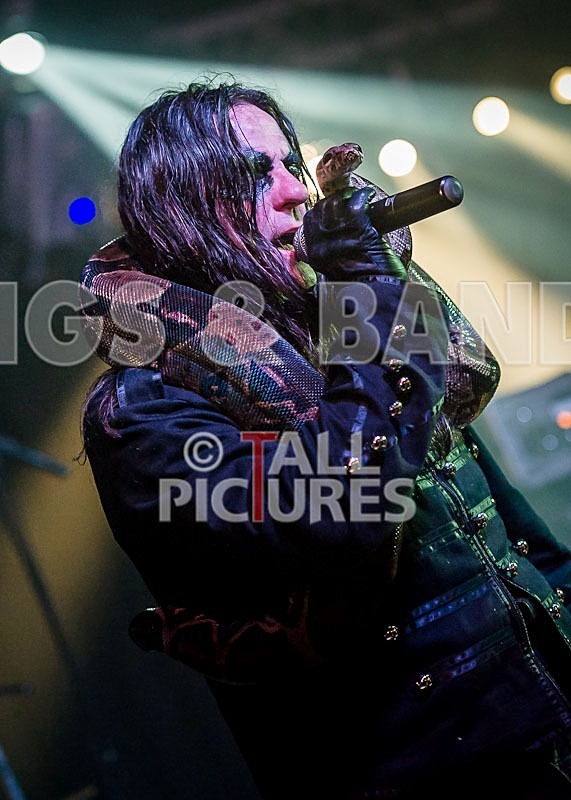 Gallus Cooper-56 - GALLUS COOPER