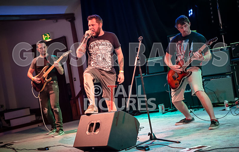 Granite Wolf-47 - GRANITE WOLF