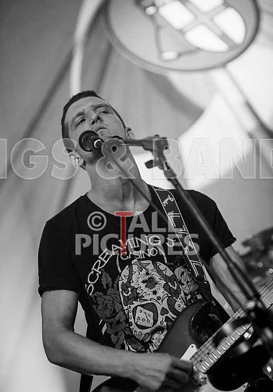 Subversion-48 - SUBVERSION