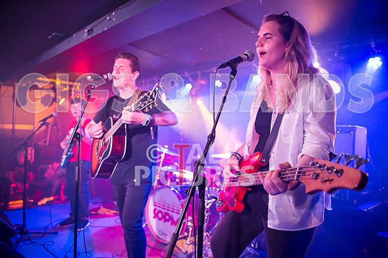 Purple Paradox-30 - PURPLE PARADOX