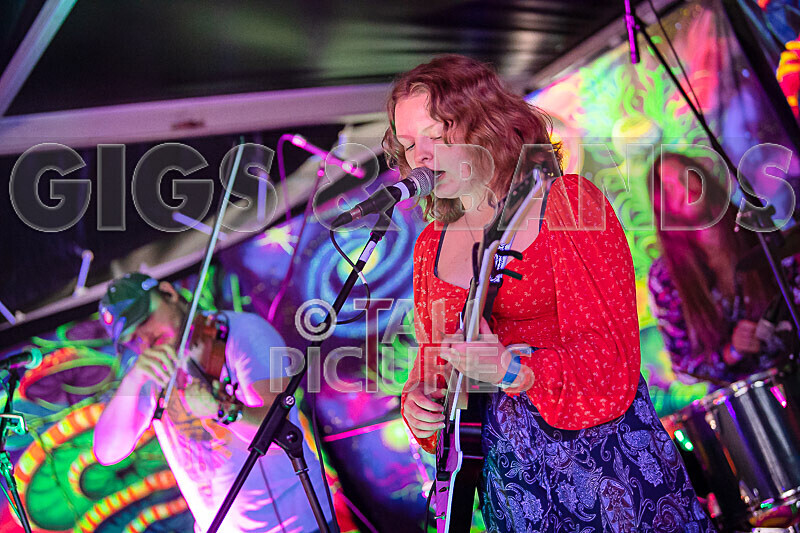 Kiya Ashton and the Folkadelics-1 - KIYA ASHTON AND THE FOLKADELICS