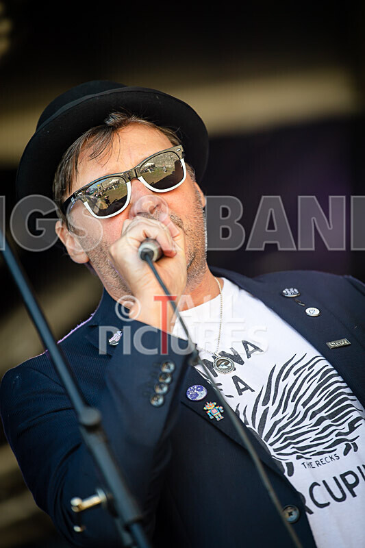 Vale Earth Fair 2020_THE SCENE-22 - VALE EARTH FAIR 2020_THE SCENE