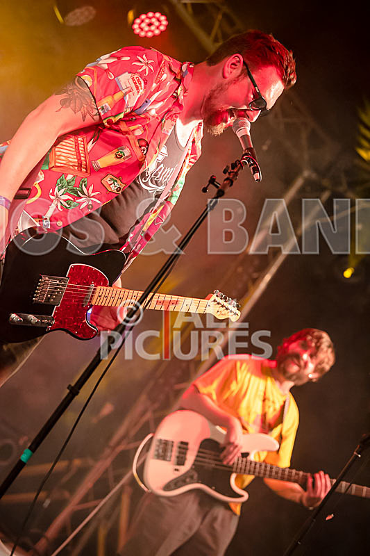 Honest Crooks-215 - HONEST CROOKS