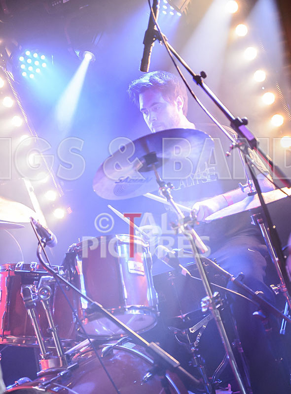 Masticated-33 - MASTICATED