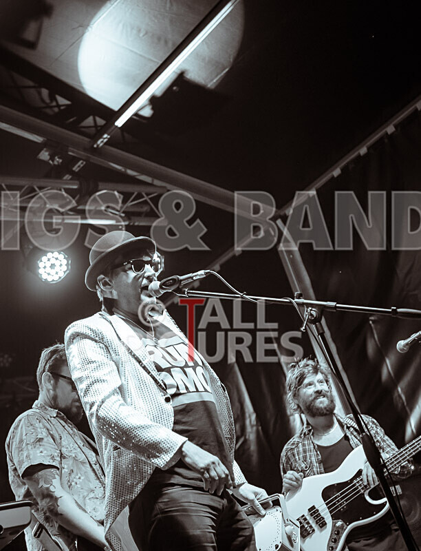 Vale Earth Fair 2020_THE SCENE-84 - VALE EARTH FAIR 2020_THE SCENE