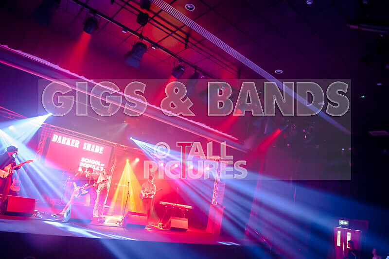 Darker Shade-45 - DARKER SHADE