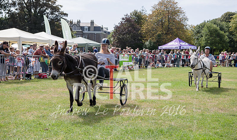 Donkey Derby_2016-16 - LIONS CLUB DONKEY DERBY 2016